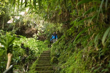 A person from behind climbs stairs in the middle of a wild overgrown jungle of Banaue in the Philippines.