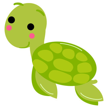 turtle cute cartoon for kid png image