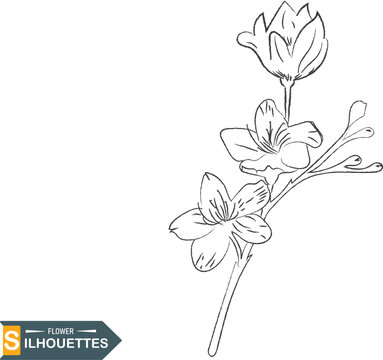 Line art of flowers and plants vector set design on transparent background