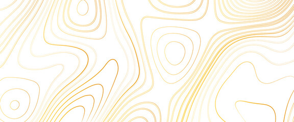 Topographic line contour map background, Topographic map and landscape terrain texture grid, Abstract lines background, fish fillet texture, salmon fillet texture, fish pattern. paper texture .	