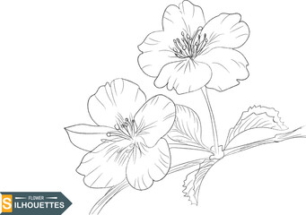 Line art of flowers and plants vector set design on transparent background