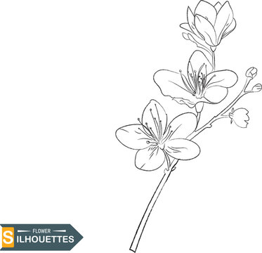 Line art of flowers and plants vector set design on transparent background