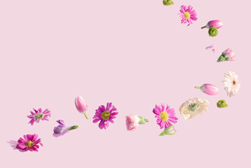 Fototapeta na wymiar Colorful Spring flowers flying on a pink background. Summer aesthetic floral concept.