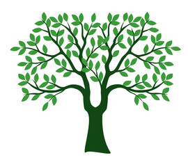 Obraz premium Green tree isolated on white. Vector Illustration.