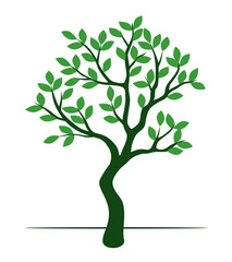 Green tree isolated on white. Vector Illustration.