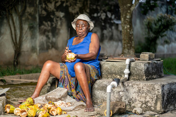 image of aged african woman harvesting cocoa crop- cocoa processing
