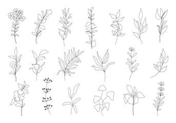 Outline flowers vector set. Black silhouettes of plants. Trendy simple floral tattoo design. Sketch summer and spring herbs. Black hand drawn doodle flowers. Garden fine art bouquet