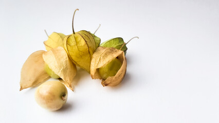 Physalis Angulata L or Cape Goosebery or Ciplukan fruit isolated on white background