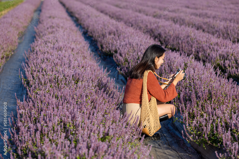 Wall mural Woman take photo with digital camera on purple flower field