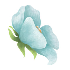 Fototapeta na wymiar Blue floral