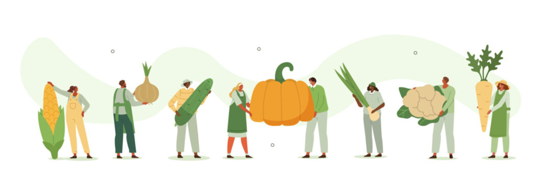 Farmers illustration set. Agricultural workers characters harvesting fresh organic vegetables from local farm. Sustainable farming and farm to table concept. Vector illustration.