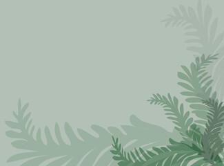 Fototapeta na wymiar Arrière plan feuilles de fougère vert gris clair sur fond vert clair