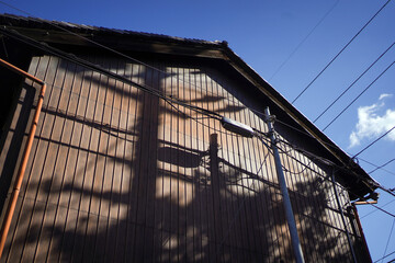 Japanese style heritage wooden roof house
