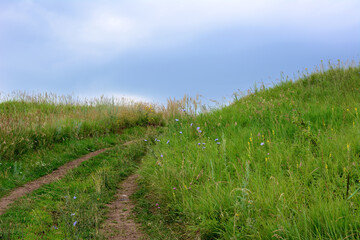 Obraz premium A dirt road leads to a grassy hill with a rainy sky on horizon, copy space