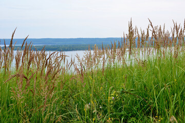 Fototapeta na wymiar A view of the lake from the shore with green grass and island on horizon 