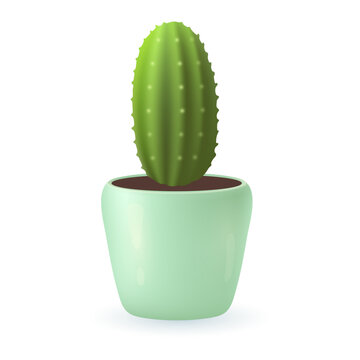 Green cactus plant of oval shape in mint pot 3D illustration. Cartoon drawing of exotic plant for home or office in 3D style on white background. Nature, houseplants, decor, botany concept
