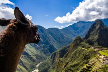 Foto op Canvas Machu Pichu © Jonas