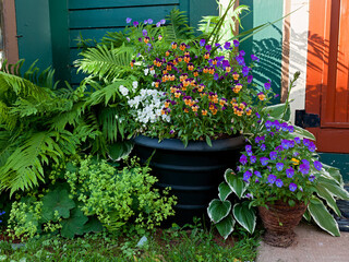 A menangerie of pansies, violets, hosta and ferns growing in pots alongside a doorstep.