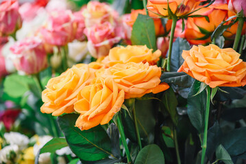 The backdrop of the colorful flowers. roses bouquet 