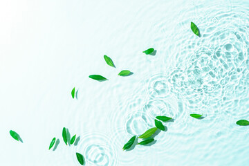 Fototapeta na wymiar Water drops on water surface with green leaves. Water texture background.