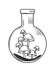 alchemy bottle with mushrooms