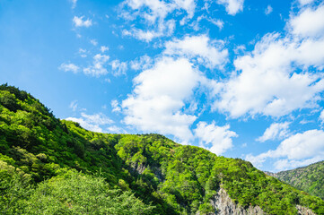 爽やかな青空と新緑の風景　松本市