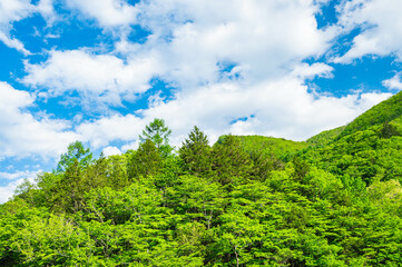 爽やかな青空と新緑の風景　松本市