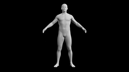 Beautiful young man posing, isolated on black background. 3d illustration (rendering). Plastic shiny mannequin, android, robot.