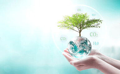 World water day concept, Human hands holding earth globe and tree over blurred blue background....