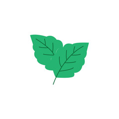 menthol leaf icon in line style icon, isolated on white background
