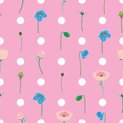 Raster illustration. White polka dots with blue poppy flowers and pink cosmos cupcake blush on baby pink background  seamless repeat pattern.