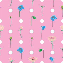 Vector illustration. White polka dots with blue poppy flowers and pink cosmos cupcake blush on baby pink background  seamless repeat pattern.