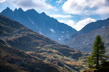 Beautiful autumn view of mountains and orange blueberry trees in the Austrian Alps in the Hohe Tauern mountains