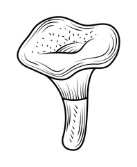 mushroom botanical icon