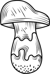 mushroom nature plant