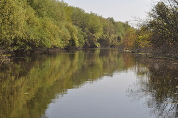 Part of Danube swamp neer Pancevo