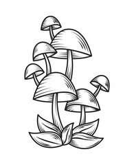 mushrooms leaves icon