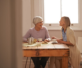 Theres always laughter when grans around. an attractive young woman visiting her gran for tea.