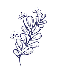 foliage leaves doodle