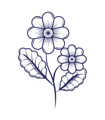 flowers doodle isolated
