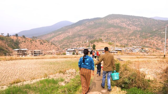 Agricultural fields of the village in Punakha Valley, Bhutan