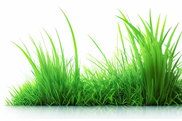 Obraz premium Fresh spring green grass on white background. - lush vibrant, clean, simple, minimalist, crisp, outdoors.