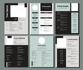 CV templates. Professional resume letterhead, cover letter business layout job applications, personal description profile vector stylish modern presentation set