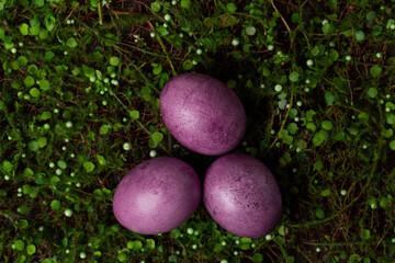 Purple Easter eggs on green grass