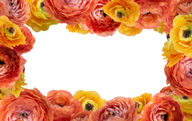 frame of flowers on an isolated white background. card, wedding invitation, gift card.