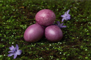 Purple Easter eggs on green grass