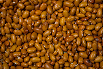 Bean beans full screen as background for image