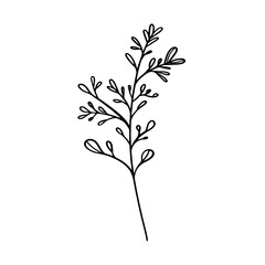 Vector hand drawn grass. Simple contour line art, silhouette, isolated on white background. Herbs, leaves.