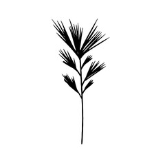 Vector hand drawn grass. Simple contour line art, silhouette, isolated on white background. Herbs, leaves.