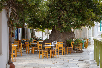 Greece. Tinos island Cyclades. Outdoors traditional cafe at Pyrgos village under a huge plane tree.